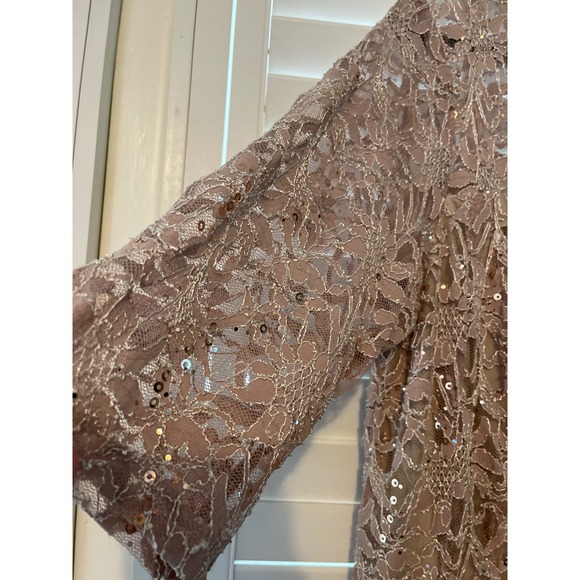 Chris McLaughlin 18W nude sheer sparkle dress Mother in law dress - Picture 4 of 8